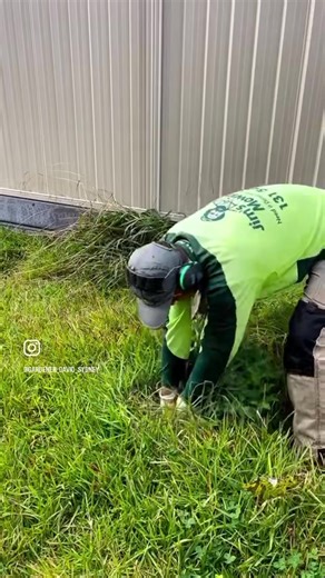 2M views · 10K reactions | Hand weeding  For more watching please follow #davidsmowingsydney #weeding #lawncare #gardening #diy #fyp #sydney #melbourne #australia #satisfying #oddlysatisfying | David's Mowing Sydney NSW | Facebook