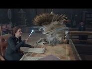 Professor Weasley's Assignment -Quest- - Hogwarts Legacy - 4K HDR