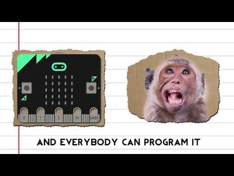 What is a Micro:bit?