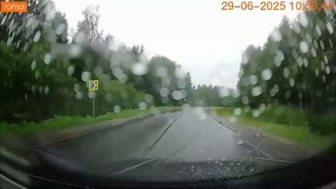 Woman loses control of car on wet road and hits lorry hauling logs
