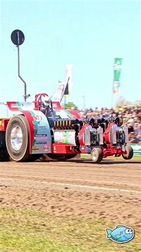 Rolls-Royce Griffon V12 Power: 'Alligator' beim Tractor Pulling Füchtorf 2026