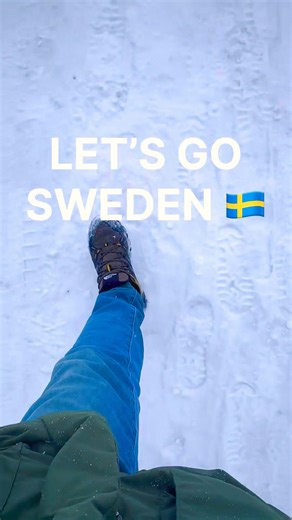 absolute cold #🥶 #sweden #ice #snow