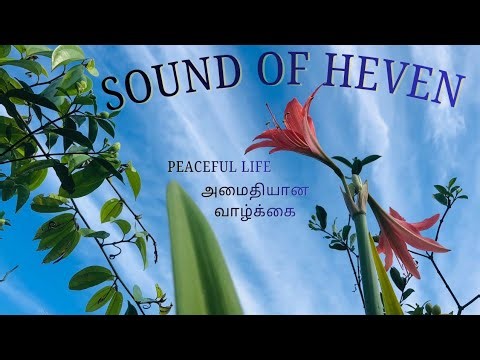 கண்ணுக்குத் தெரிந்த சொர்க்கம் /Visible heaven