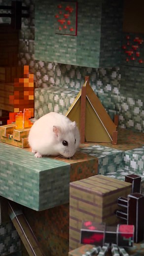 Homura Hams Hamsters in the Minecraft Dungeons - Redstone Mines | Homura Ham