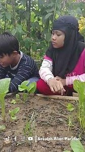 Science Experiment - Plant Transpiration - Grade 4 Sekolah Alam Pacitan