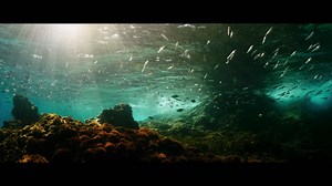 Evolution (2016) - Trailer International