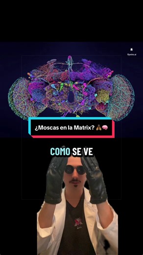 Understanding the Matrix: Drosophila Research Insights