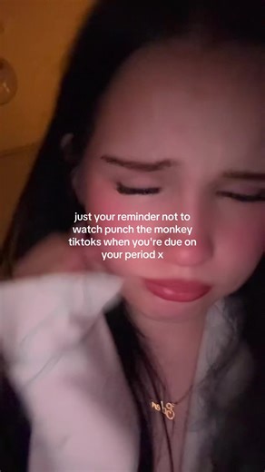 ya bird crys over a monkey being bullied x #fyp #punchthemonkey #punch #relateable #period