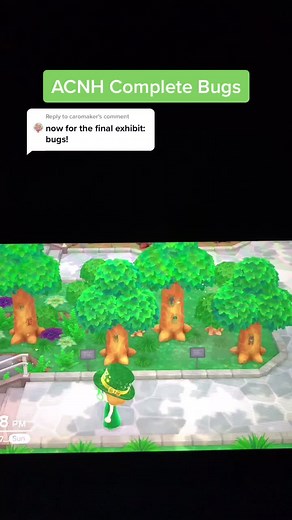 Caroline's Complete Guide to Bugs in Animal Crossing: New Horizons