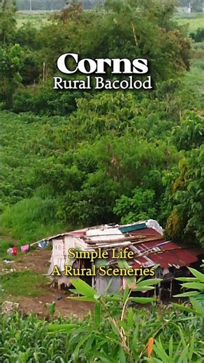 Simple Rural Life Bacolod City Philippines Aerial View #AerialFootage #AerialView