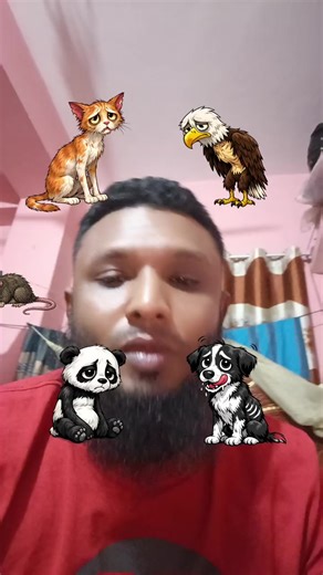 ismail (@usermd.ismail5426308068)’s videos with original sound - KHALID HASSAN 🤍