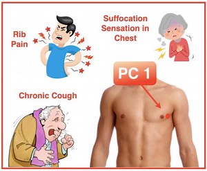 9.1K views · 415 reactions | The 9 Acupuncture points of the Pericardium Meridian! #AcupunctureRocks | AcuPro Academy | Facebook