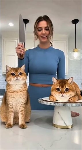 Cutting a cat cake🧀 in front of real cat🐱 (Top 5 reaction)