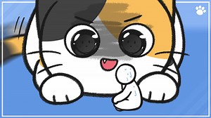 58K views · 3.6K reactions | Is Your Cat Biting You? It can be because of your behaviors | BEMYPET.Channel | Facebook