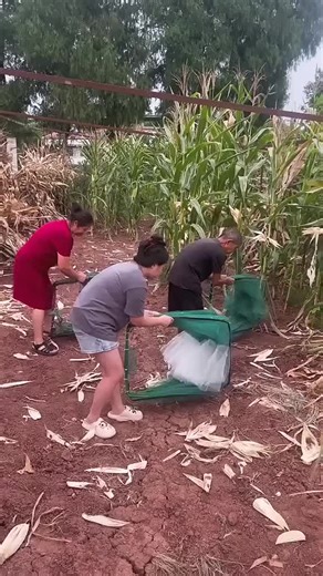 Exploring the Fascinating World of AI-Powered Robots