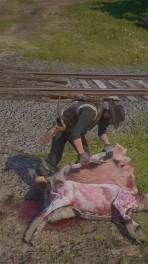 #rdr2 #youtubeshorts ONE ARROW NO MERCY: GOOD (ARROW) SHOT , GOOD PRONGHORN HIDE !!!