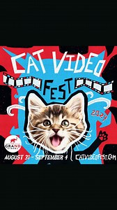 CatVideoFest 2024 is clawing its way back to The Grand on August 31! CatVideoFest is a compilation reel of the latest and best cat videos culled from countless hours of unique submissions and sourced animations, music videos, and classic internet powerhouses. CatVideoFest is a joyous communal experience, only available in theaters, and raises money for cats in need through partnerships with local cat charities, animal welfare organizations, and shelters to best serve cats in the area. We’ll be a