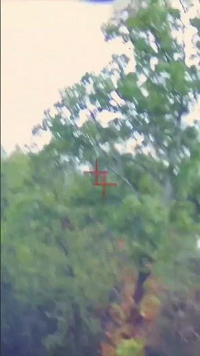 How to Shoot Crossing Targets in Sporting Clays