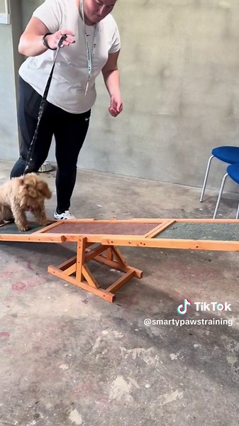 Smarty Paws Dog Training on TikTok