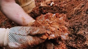 Miners digging in our private area. Notice the zip line at the end over the active mine! Come visit us at Ron Coleman Mining in Jessieville Arkansas. #Arkansasdigging #RonColemanmine #privatearea #clearcrystalquartz