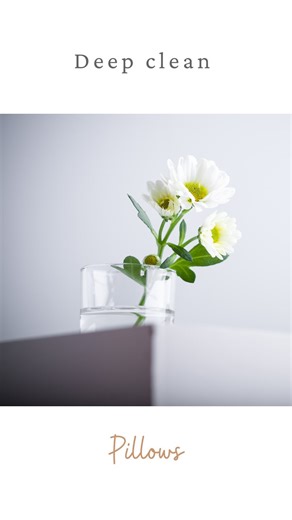 8.3M views · 8.1K reactions | How to wash pillows in the washing machine  #laundryhacks #homehacks #homehackswithcarolina #cleaningtips #cleaninghacks #laundrytips | Carolina McCauley | Facebook