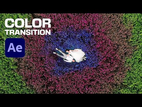 How to Create Amazing Black & White to Color Transition in Adobe After Effects