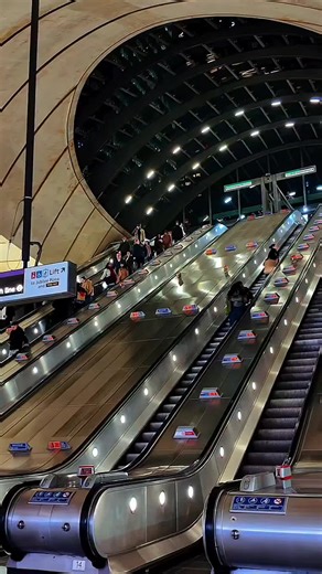 Discover Urban Life in the United States