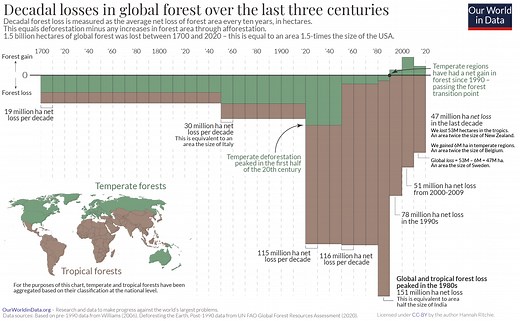 What are nature-based solutions and how can we finance them?
