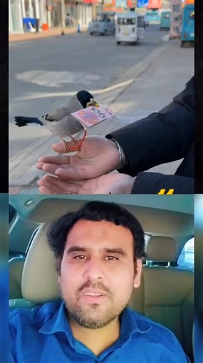 ✅🤔🤦🤣🤣🔥is Bande ko Dekho#foryou #mribrar44db #fyp #fypシ #foryoupage