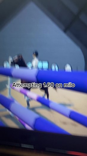 Virtual Horse Jumping Simulation Experience