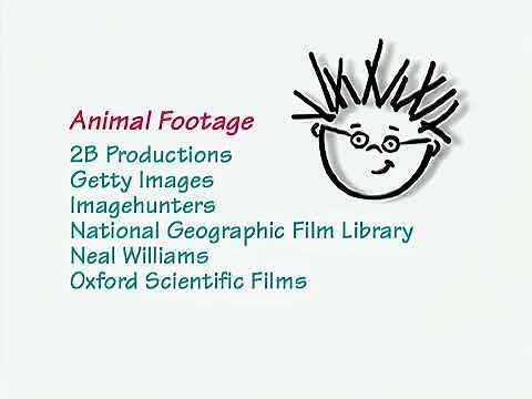 Closing to Baby Dolittle: World Animals 2001 DVD (Better Quality)
