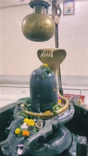 Somnath Baba CallingWhen Somnath Baba calls, the heart finds its way to peace. 🕉️✨#SomnathBaba