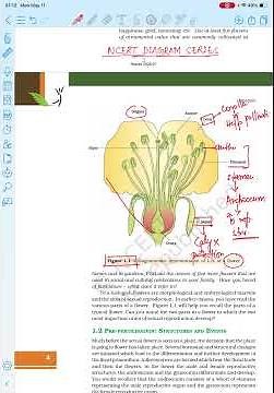 ✅ NCERT Diagram Explained – Part 1 😱 Fig 1.1 Sexual Reproduction in Flowering Plants | NEET