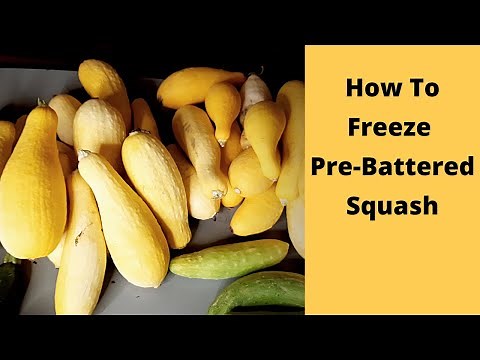 The Secret To Freezing Squash