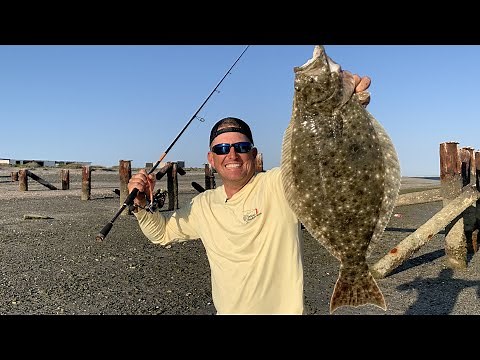 GIGANTIC Mexican Flounder!!! {Catch Clean Cook} Mag Bay Lodge