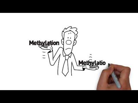 COMT Gene - Explainer Video