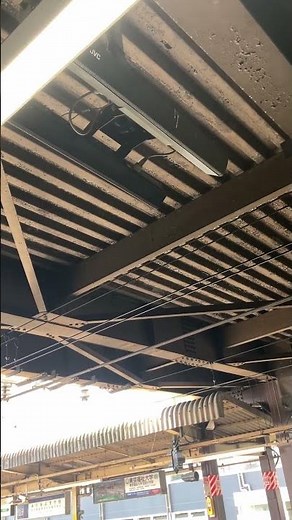 湘南新宿ライン 東海道線直通 特別快速 小田原行き 本庄駅1番線ATOS放送(向山佳比子)