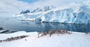 Antarctica Beautiful Wildlife Background Aerial