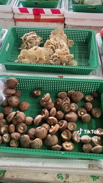 Merry vlog🌸 (@merryvlog80)’s videos with original sound - Merry vlog🌸