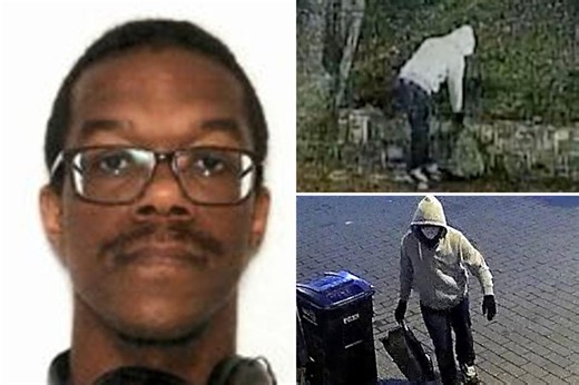 DC pipe-bomb suspect admits to planting devices outside DNC, RNC: sources