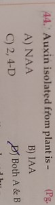 Auxin isolated from plant is -A) NAAB) IAAC) 2, 4-DD) Both ... | Filo