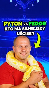 🐍 Python vs Zawodnik MMA – Kto ma silniejszy uścisk? W tym eksperymencie porównano siłę duszenia legendarnego zawodnika MMA Fedora Emelianenki i… węża Pytona! Wynik? Szokujący! 💪 Fedor Emelianenko, mistrz PRIDE i legenda mieszanych sztuk walki, wykonał duszenie na specjalnym manekinie. Nacisk? Prawie 227 kg – to tyle, co uścisk niedźwiedzia grizzly! 🐍 Kiedy przyszła kolej na pytona, jego naturalny uścisk osiągnął zaledwie 18 kg. 📊 Eksperyment pokazał, że człowiek – a konkretnie zawodnik MMA 