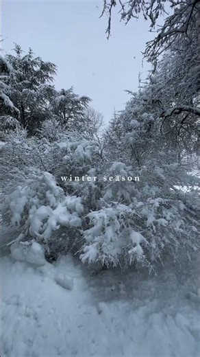 Snow days are magical ❄️