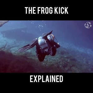 7.7K views · 120 reactions | Here's a step-by-step tutorial on how you can master the frog kick. | Divologist | Facebook