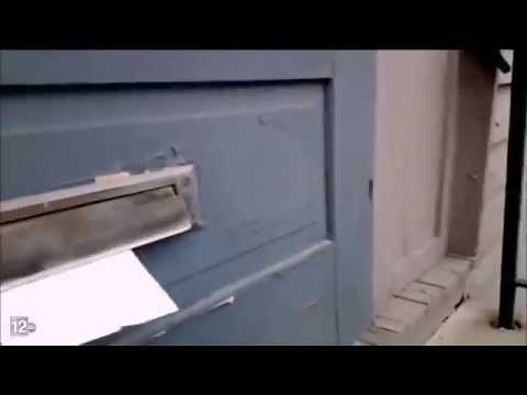 Ferocious Cat Battles the Mailman Through the Mail Slot