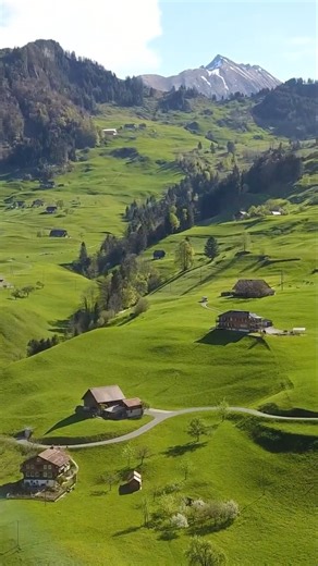 📍 Swiss Alp, Switzerland 🇨🇭🏔️#switzerland #swissalps