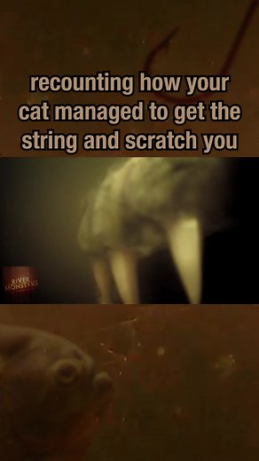 Discover the Terrifying Beasts of River Monsters with Jeremy Wade