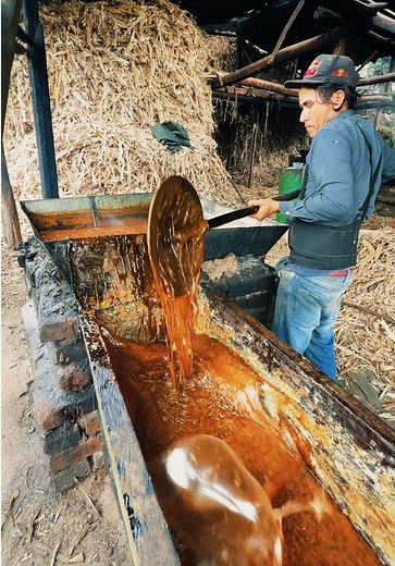 Puede ser uno de los últimos en elaborar panela de esta manera 💔🍯 #PanelaEcuador #TrabajoArtesanal #HechoEnEcuador #TradiciónEcuatoriana #EcuadorProduce