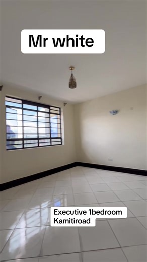 Executive 1 Bedroom Apartment on Kamiti Road