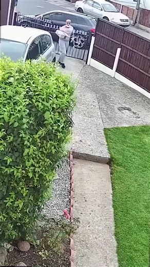 These Shih Tzu's scared the 💩 out of this guy! #puppy #dog #fails #funny #dogs #dogtraining #dogsofinstagram | American Standard Dog Training